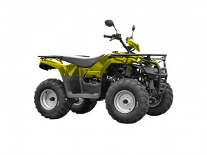 Квадроцикл IRBIS ATV 200 желтый - фото 3